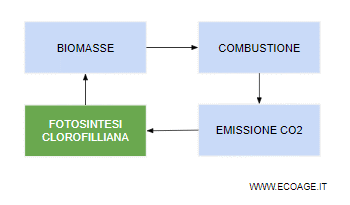 l'impatto ambientale delle biomasse