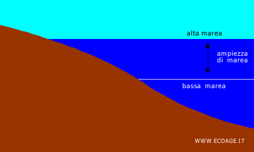 la differenza tra alta e bassa marea