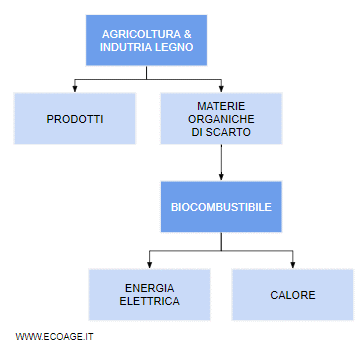 il processo di produzione dell'energia dalle biomasse e dai biocombustibili