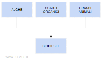 le materie prime della produzione di biodiesel