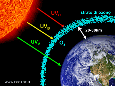 l'ozonosfera assorbe i raggi UV