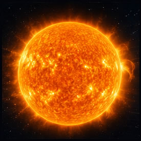 sole