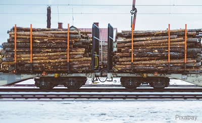 il trasporto del legno tramite ferrovia